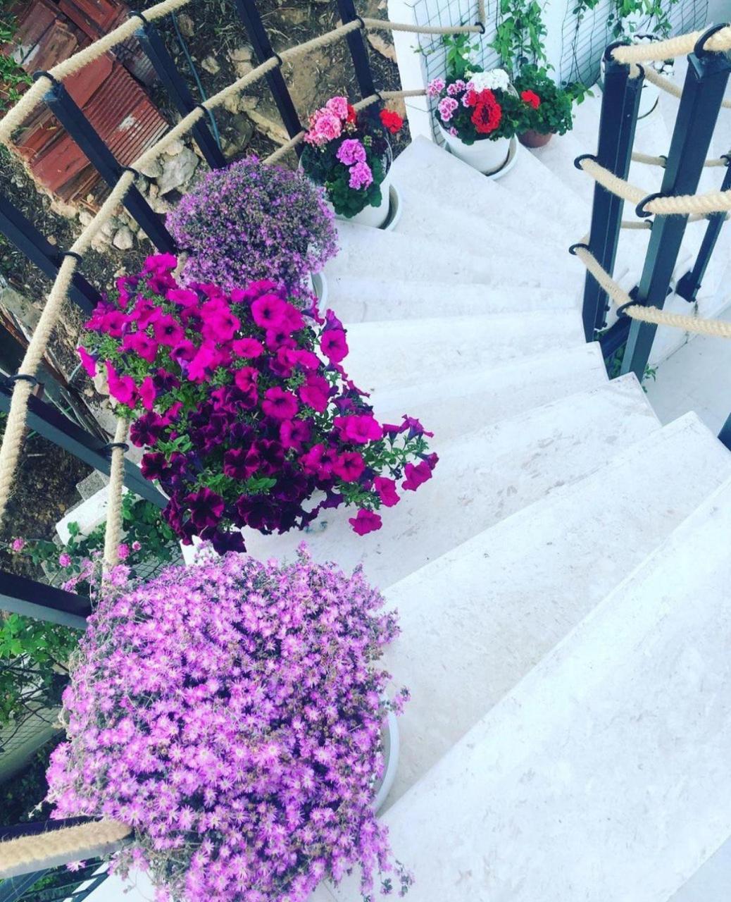 Villabijela21 Ulcinj Zewnętrze zdjęcie